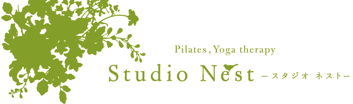 Pilates , Yoga therapy Studio Nest