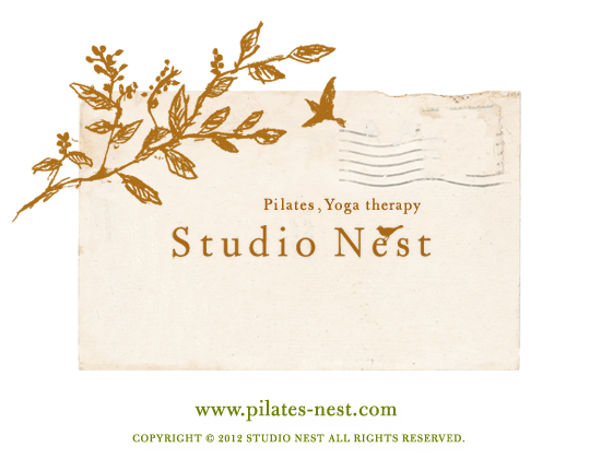 Pilates,Yoga therapy Studio Nest COPYRIGHT 2012 STUDIO NEST ALL RIGHTS RESERVED.